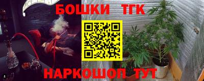 МДПВ Бийск