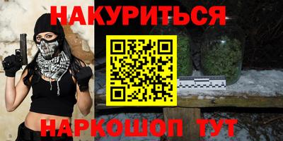 МДПВ Бийск