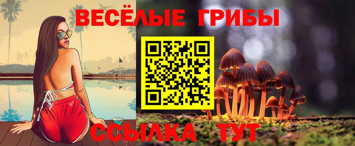 Псилоцибиновые грибы Psilocybe  Вход с VPN  Волгодонск 