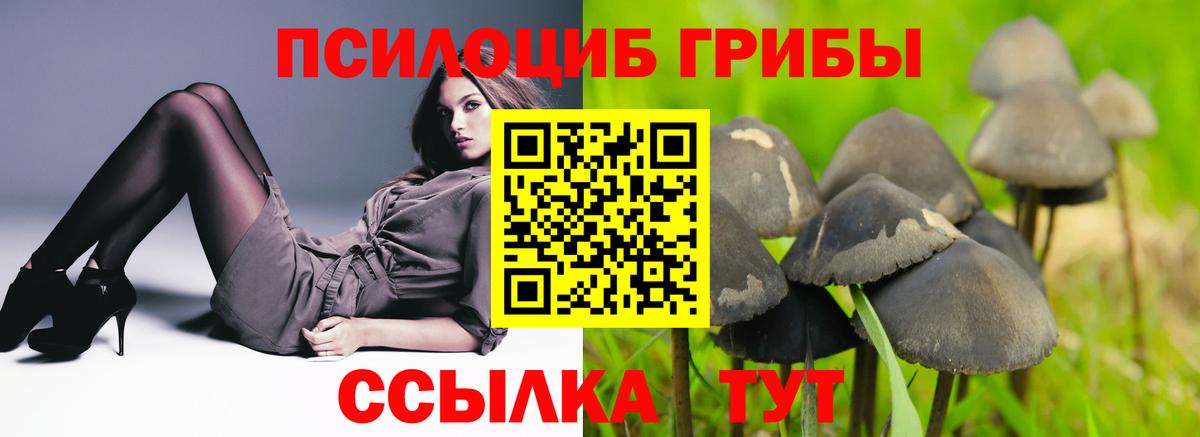 Псилоцибиновые грибы ЛСД Волгодонск